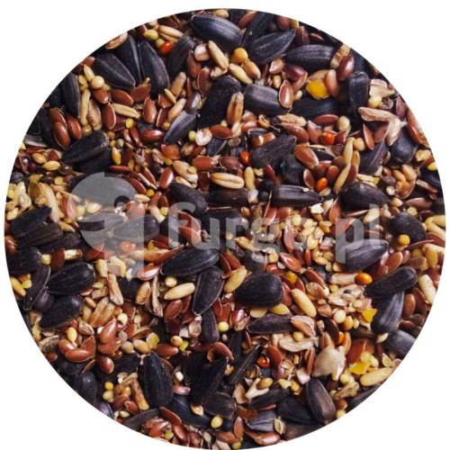 Ptaki zimujące STANDARD 20 kg