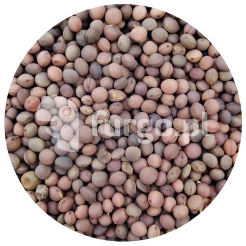 Wyka 1 kg