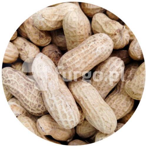 Orzechy ziemne surowe w łupinie - Fistaszki 1 kg.