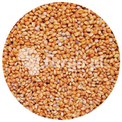 Proso senegalskie czerwone 1 kg