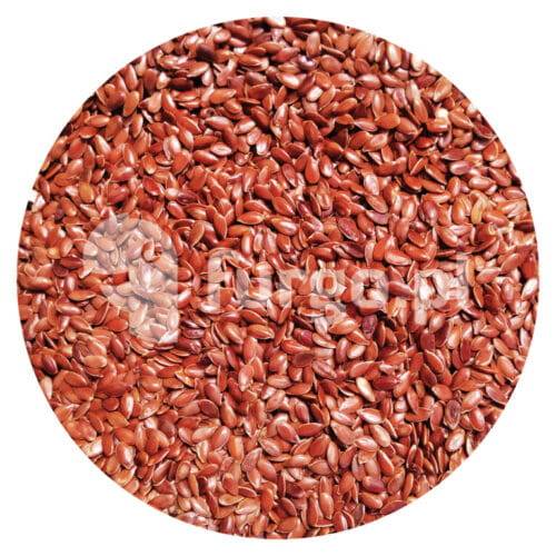 Siemię lniane (Len) 1 kg.