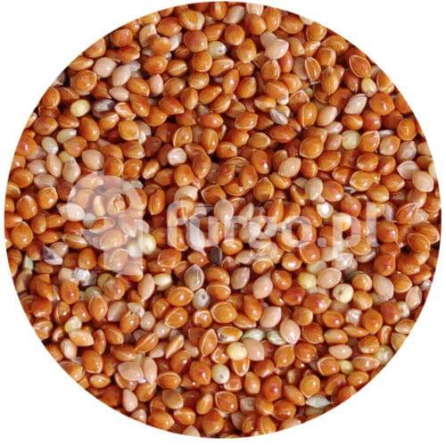 Proso czerwone 1 kg