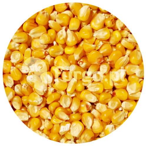 Kukurydza żółta 1 kg