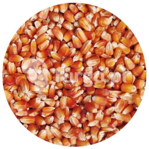 Kukurydza pomarańczowa 1 kg