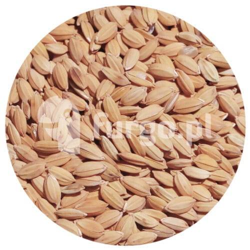 Ryż Paddy 1 kg
