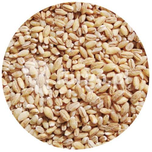 Pęczak 1 kg