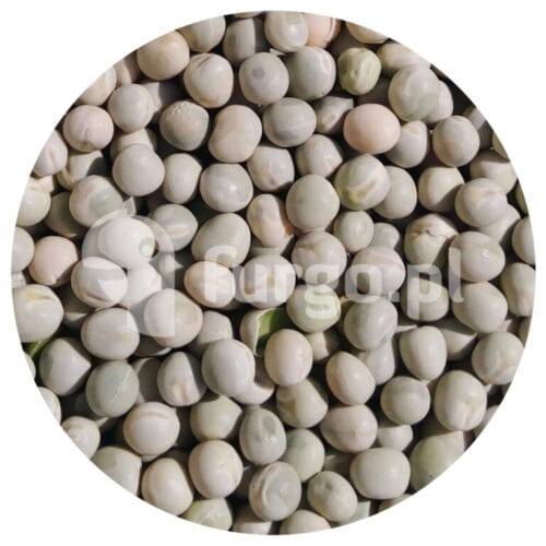 Groch zielony 1 kg