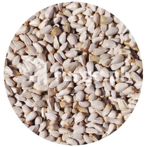 Kardi (Krokosz) 1 kg.