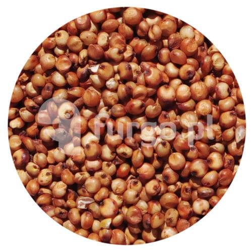 Sorgo czerwone 1 kg