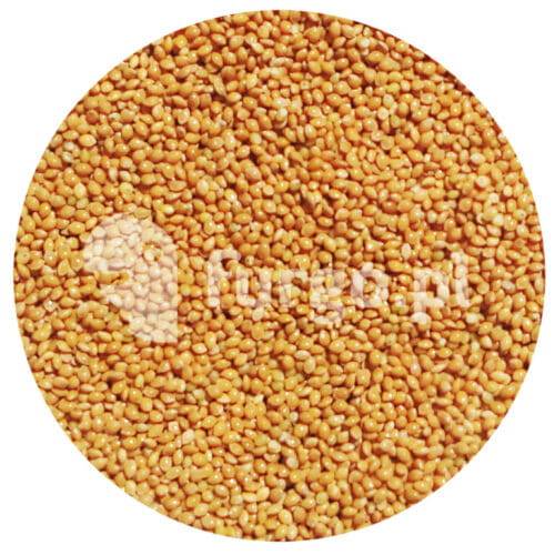 Proso żółte 1 kg