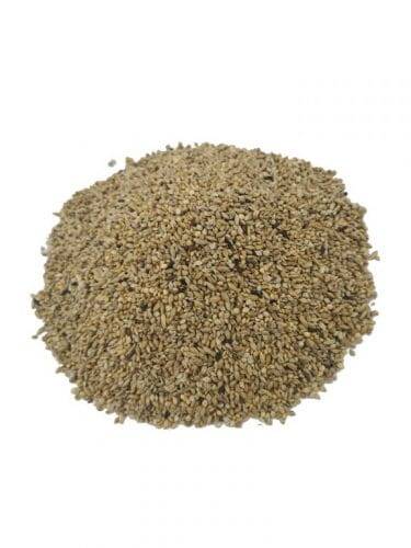 Deli Nature nr. 42 Zeberka Supreme 1 kg