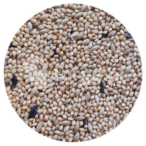 Bird Supreme Nr 492 Egzotyka super - bazowa 1 kg