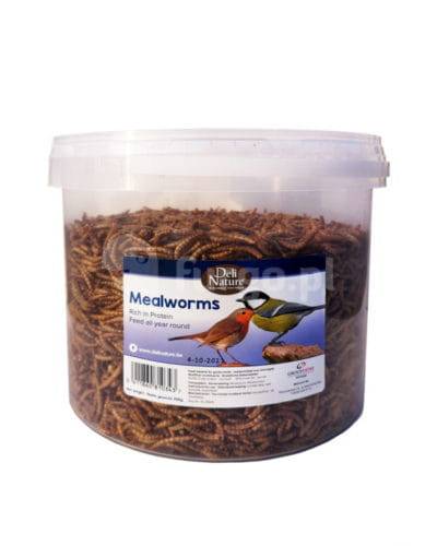 Suszone larwy mącznika 100g