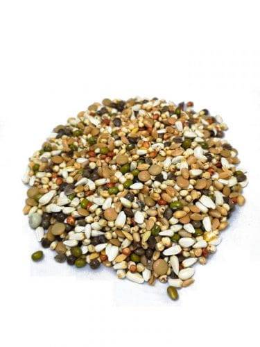 Deli Nature nr. 33 Mieszanka kiełkująca dla średnich i dużych papug 1kg