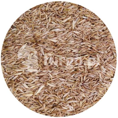 Nasiona traw 500g
