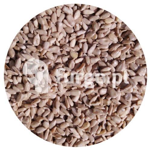 Słonecznik łuskany. 25 kg