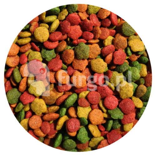 Versele-Laga NutriBird G14 Tropical Granulat dla średnich papug 500g.