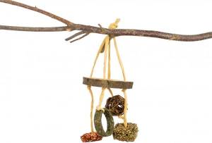 JR FARM Snack Mobile