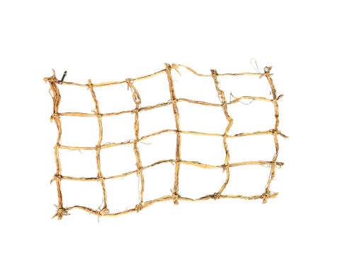 Mata kokosowa.PNG