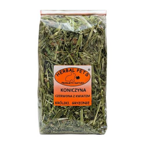 koniczyna-czerwona-z-kwiatem-d-600x600.jpg