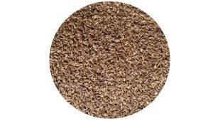 Ostropest plamisty 100g 