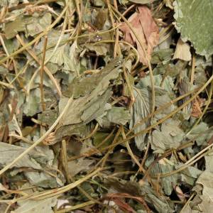 Royal Herbs Liść Truskawki 100g