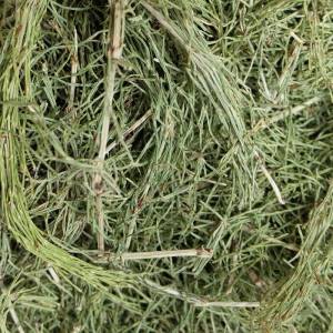 Royal Herbs Skrzyp polny 100g