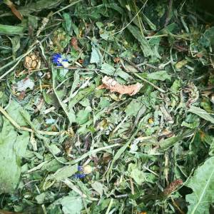 Royal Herbs Mix polnych ziół 200g