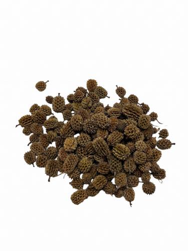 Owoc sosny australisjkiej 100g.JPG
