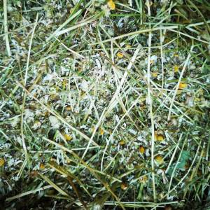 Royal Herbs Rumianek 100g
