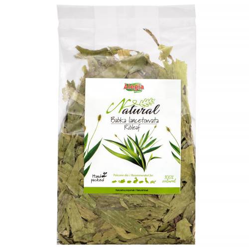 AN-169_Alegia-Babka-Lancetowata-100g_.jpg