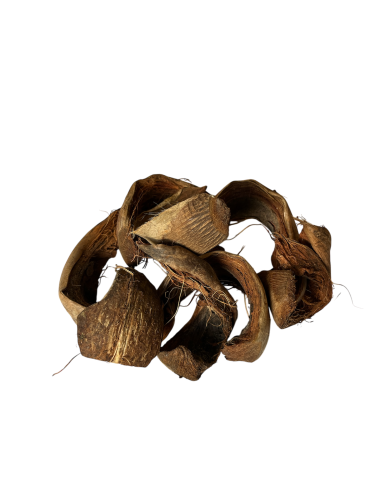 Photoroom_20250319_090623.png