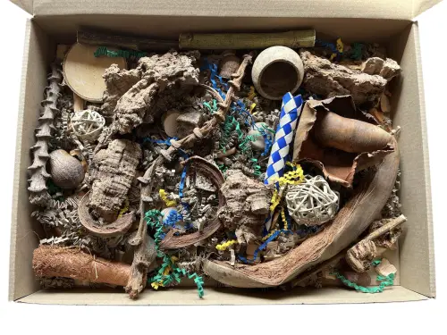 Kuweta do żerowania.jpeg