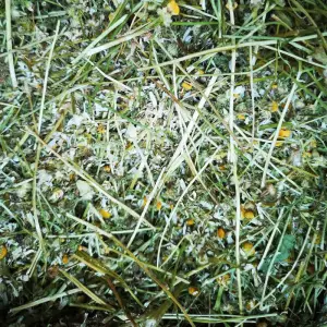 Royal Herbs Rumianek 200g