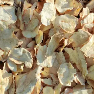 Royal Herbs Pasternak plastry 100g