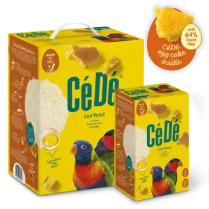 CeDe Lorifood Pokarm dla lor i lorys