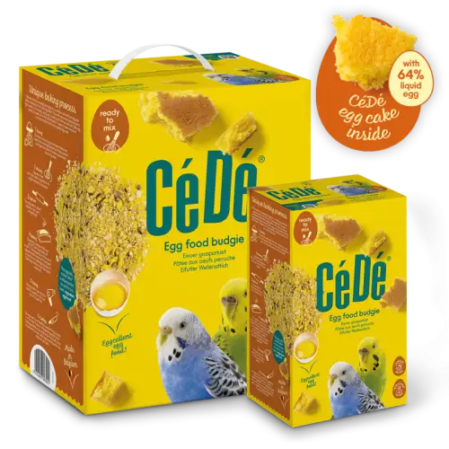 Cede papugi faliste.jpg