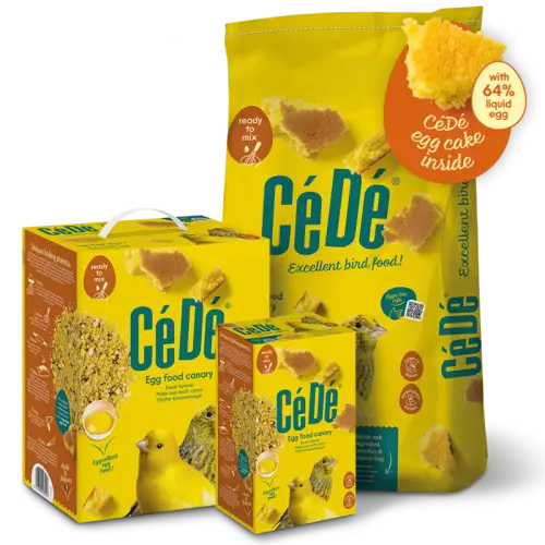 cede dla kanarków.jpg