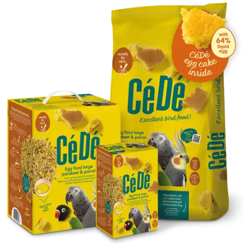 cede papugi średnie i duże.jpg