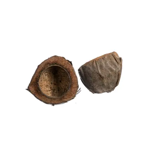 COCO-HALF-CUT---NATURE-VERTICAL.jpg