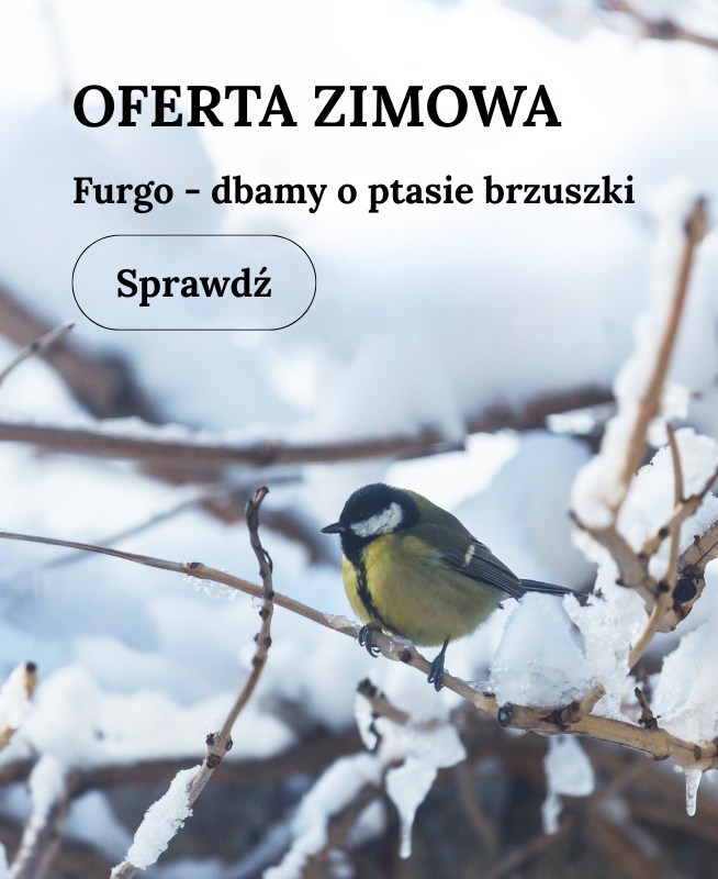 Oferta zimowa – pokarm dla ptaków zimujących